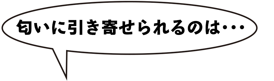 匂いに引き寄せられるのは･･･