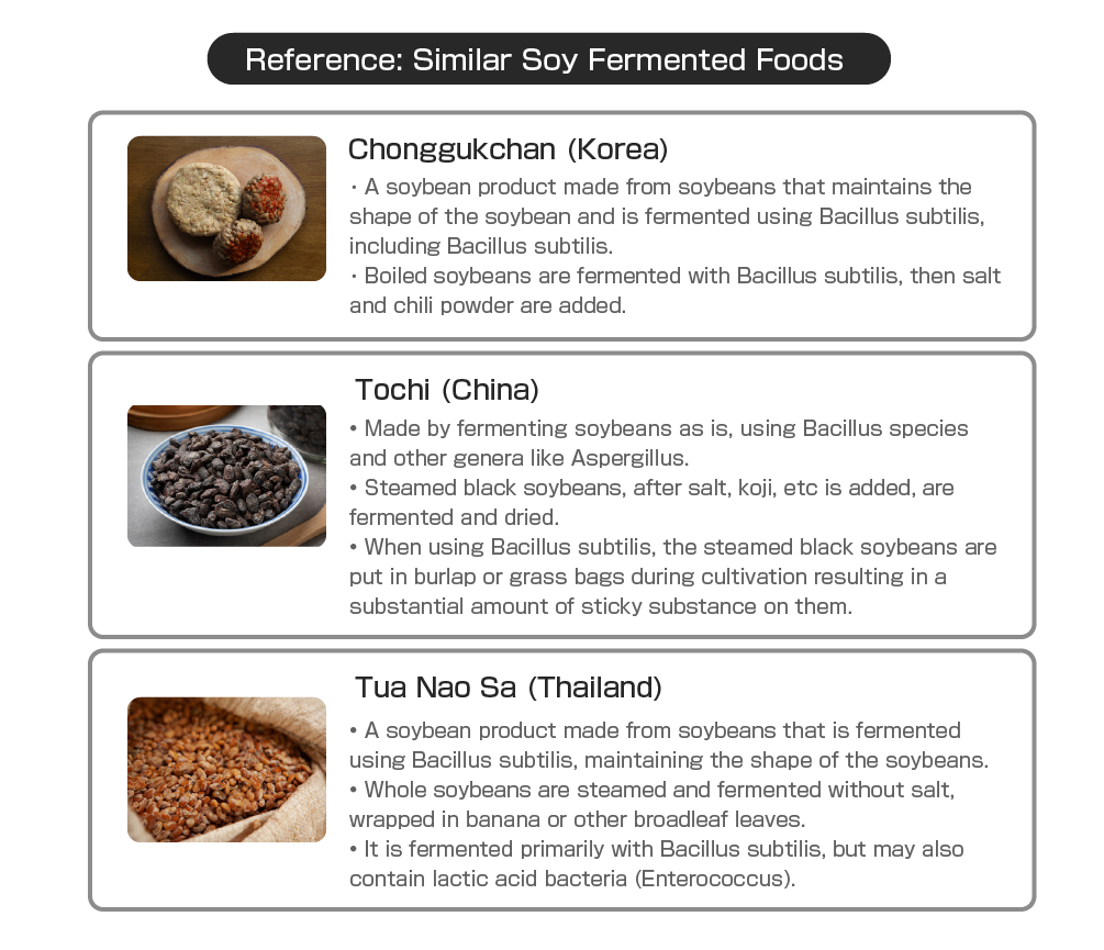 Reference: Similar Soy Fermented Foods