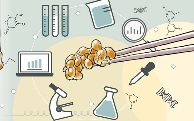 Health science of natto